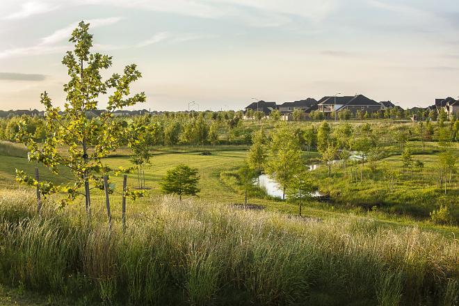 Flewellen Creek Restoration Now Complete