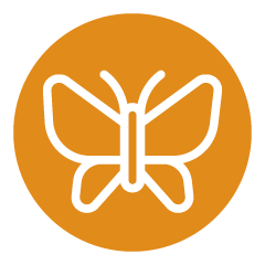 Butterfly Garden
